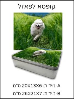קופסא לפאזל